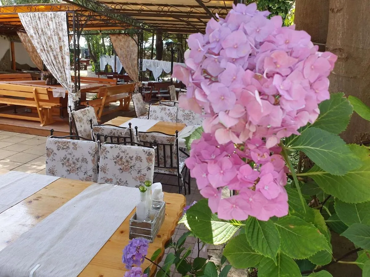 Sea Horse Hotel Burgas